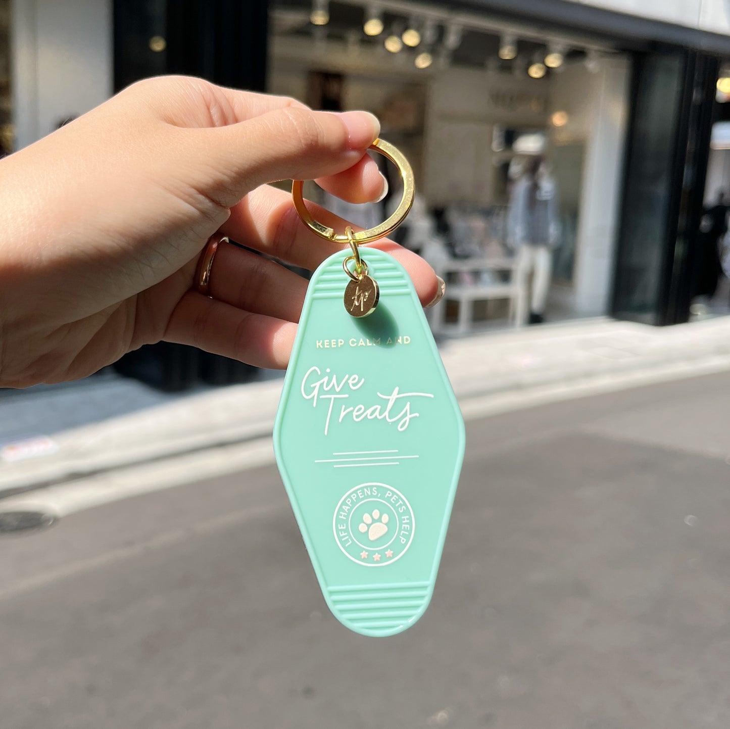 Professional Pawrent Motel Keychain