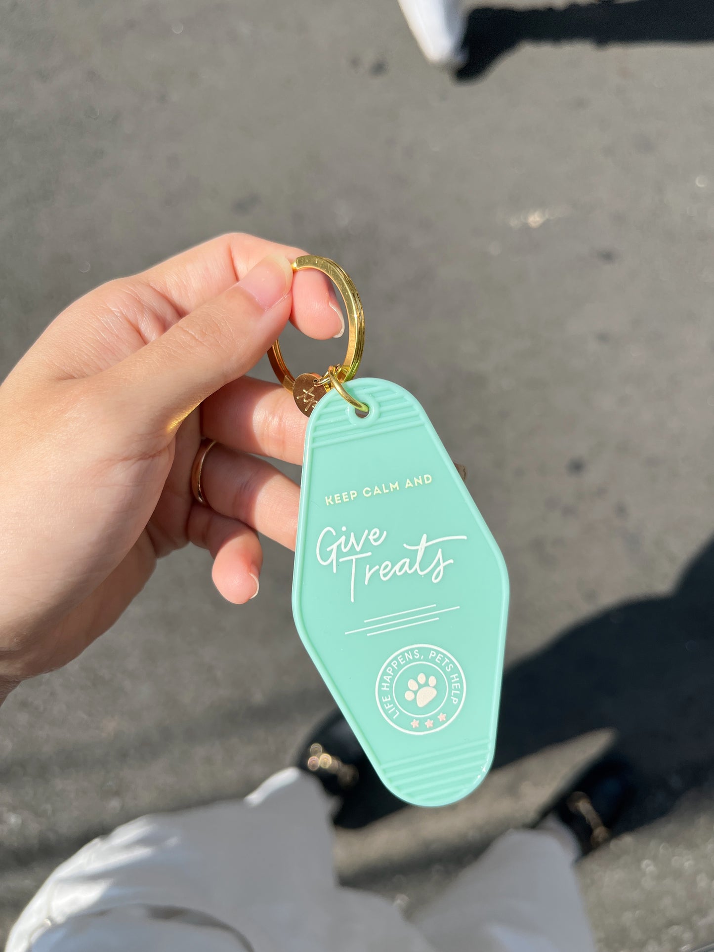 Professional Pawrent Motel Keychain
