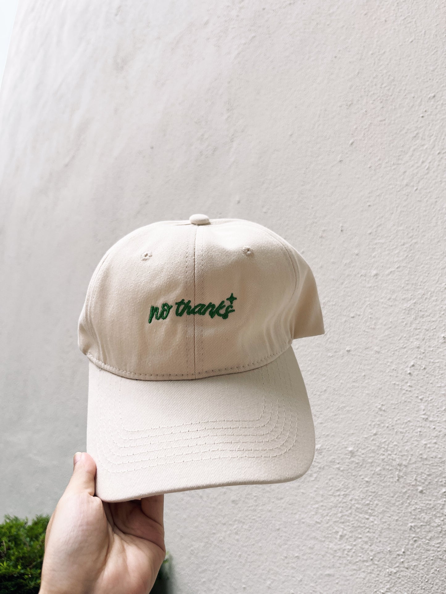 No Thanks Baseball Cap